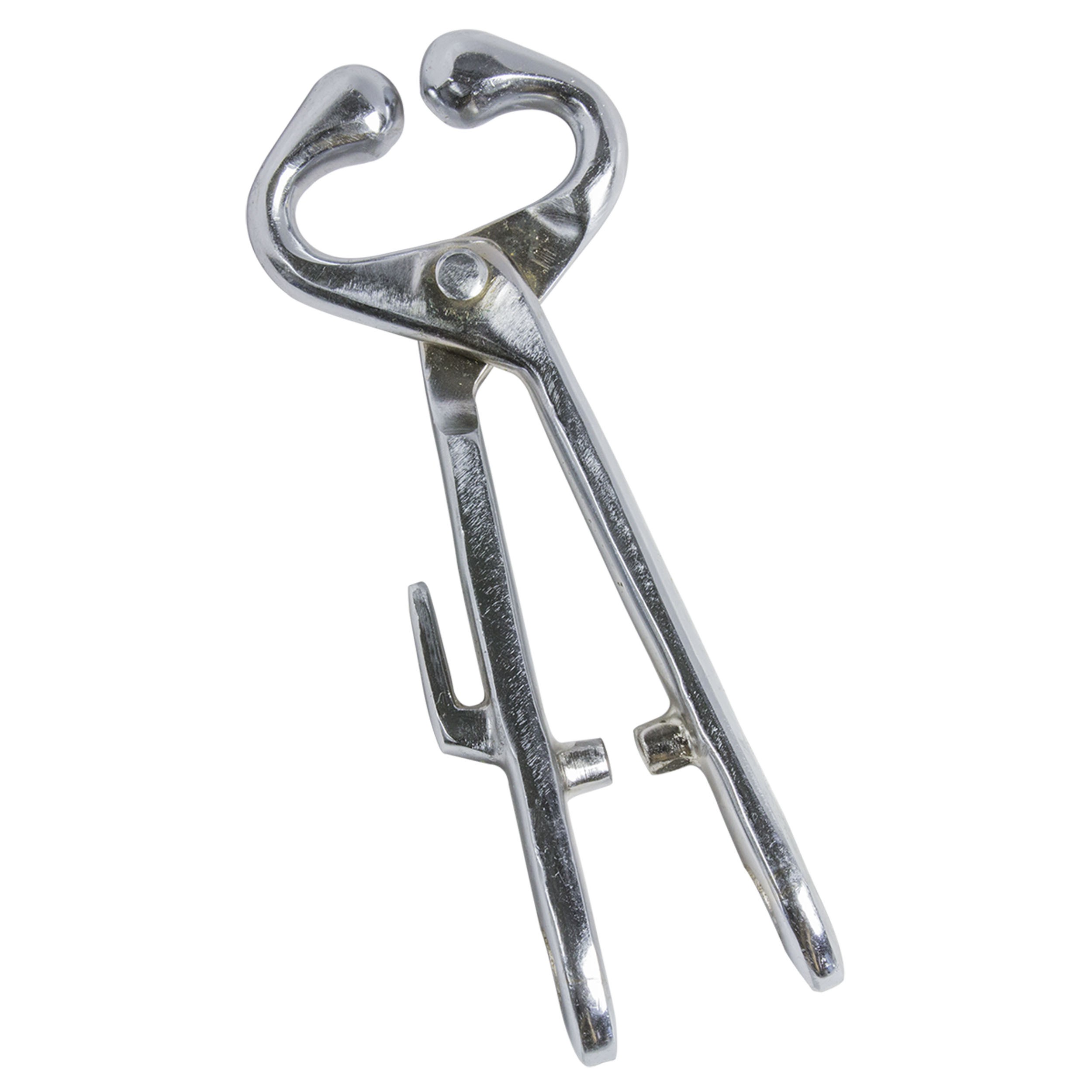 Bull lead without chain