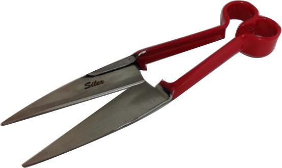 Sheep Shears